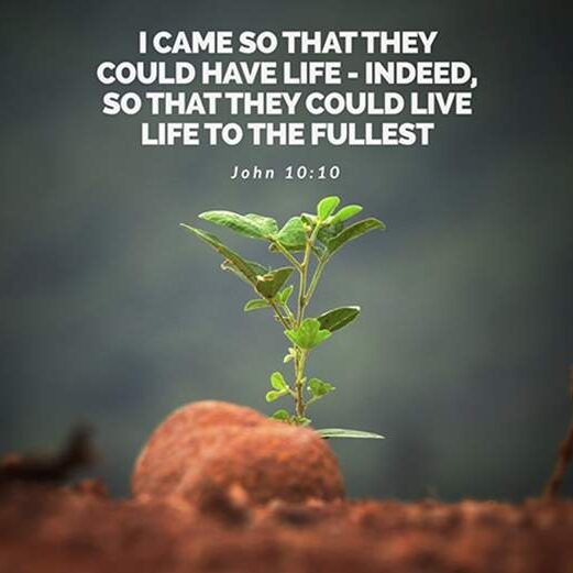 live-life-to-the-fullest1